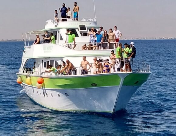 Tauche ein in die Welt der Delfine: Ausflug nach Hurghada