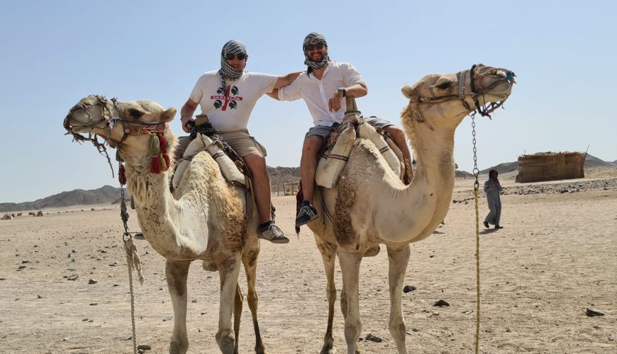 Quadsafari