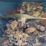 Hurghada-Stadtrundfahrt