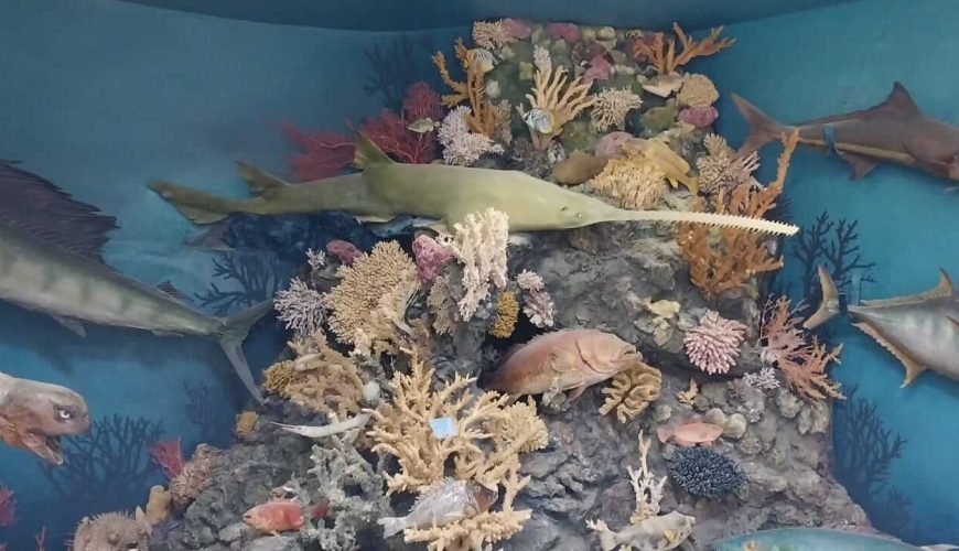 Hurghada-Stadtrundfahrt